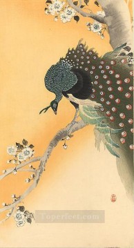  Koson Oil Painting - peacock Ohara Koson Japanese